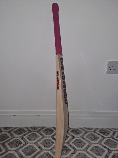 DW Hitter Cricket Bat