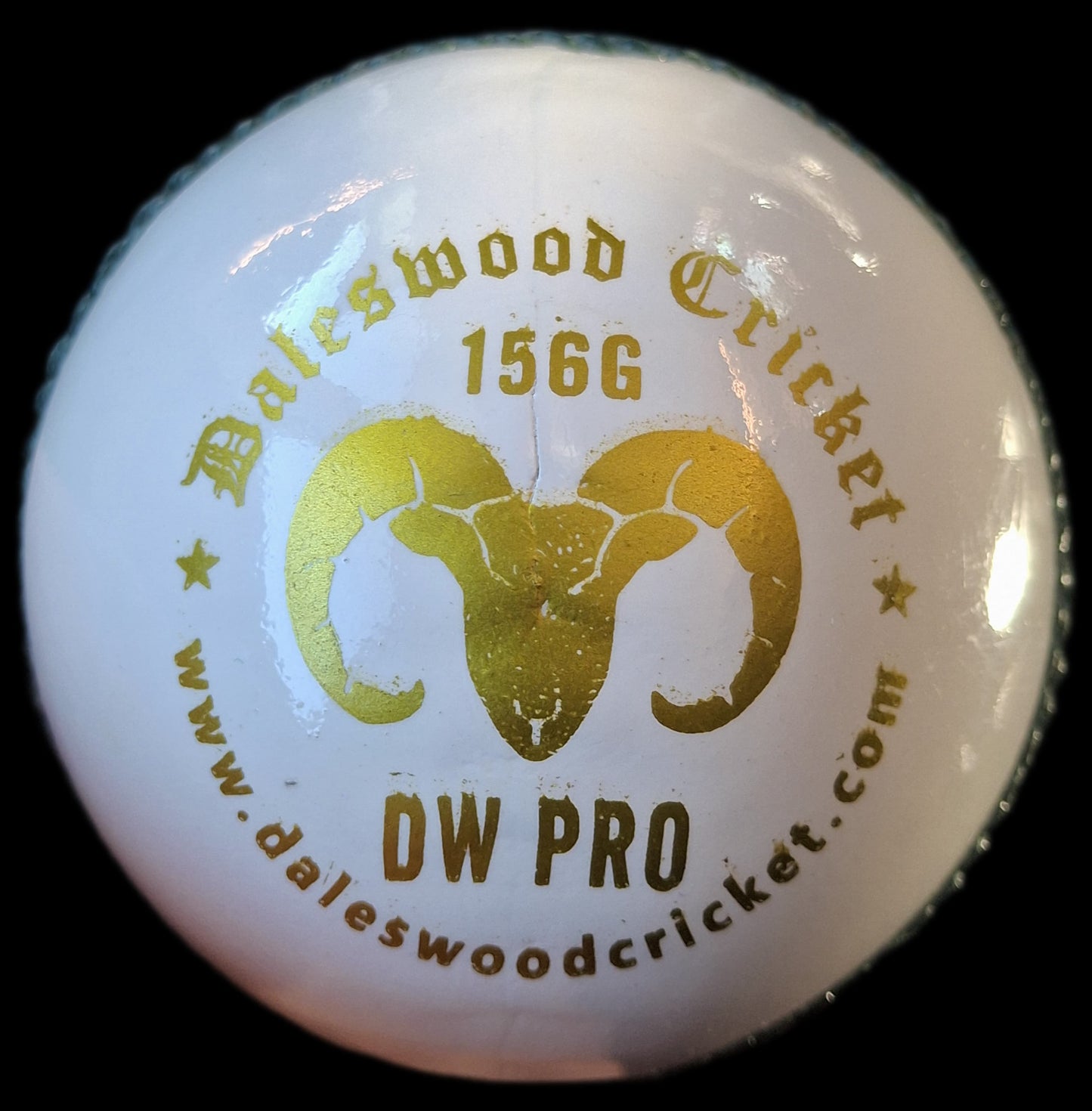 Daleswood Magnets Cricket Balls