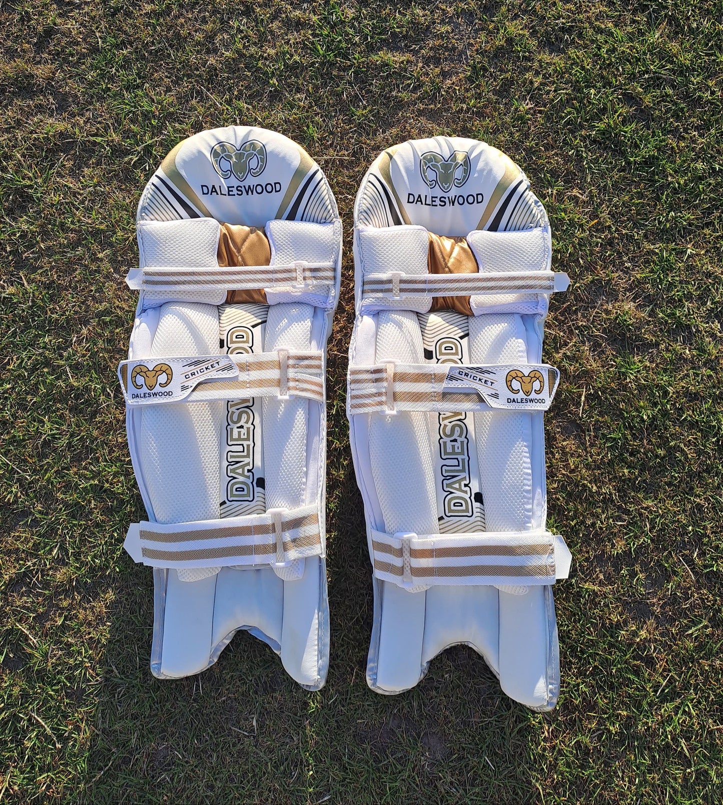 DW Pro Batting Pads