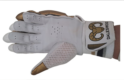 Daleswood Cricket Batting Gloves