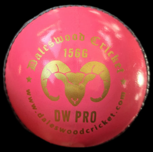 Daleswood Magnets Cricket Balls