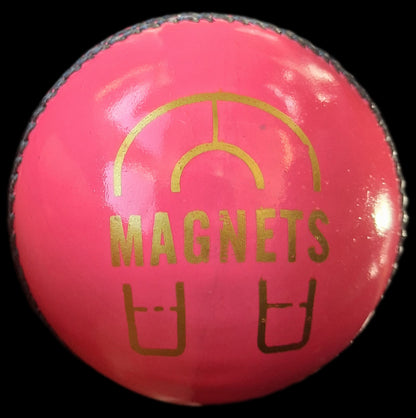 Daleswood Magnets Cricket Balls