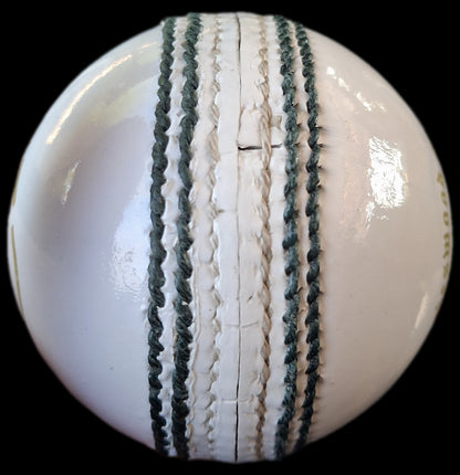 Daleswood Magnets Cricket Balls