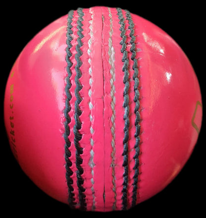 Daleswood Magnets Cricket Balls