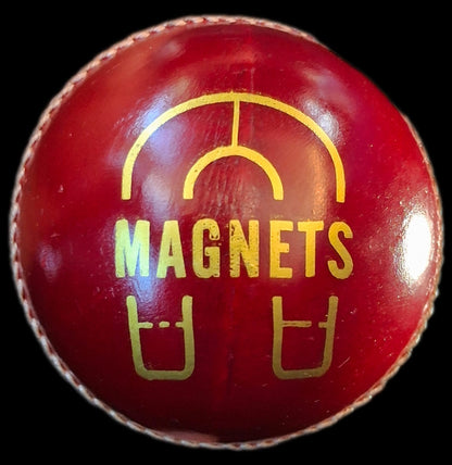 Daleswood Magnets Cricket Balls