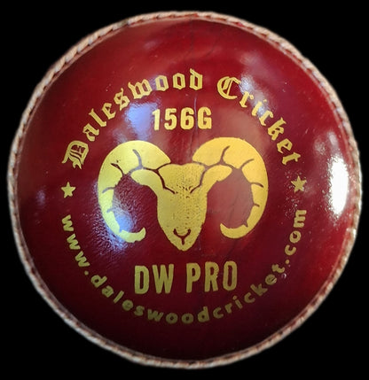 Daleswood Magnets Cricket Balls