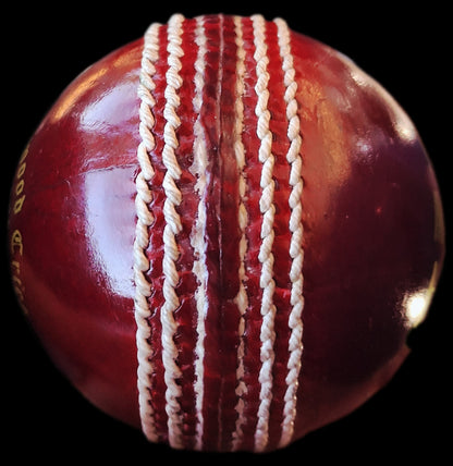 Daleswood Magnets Cricket Balls