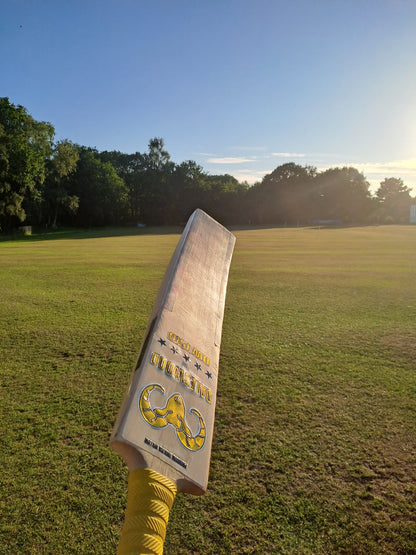 DW Pro Cricket Bat