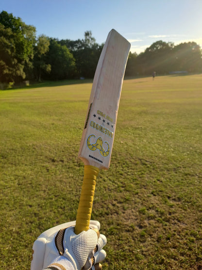 DW Pro Cricket Bat