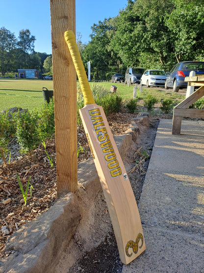 DW Pro Cricket Bat