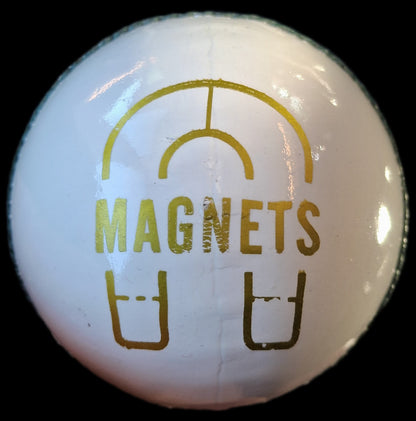 Daleswood Magnets Cricket Balls